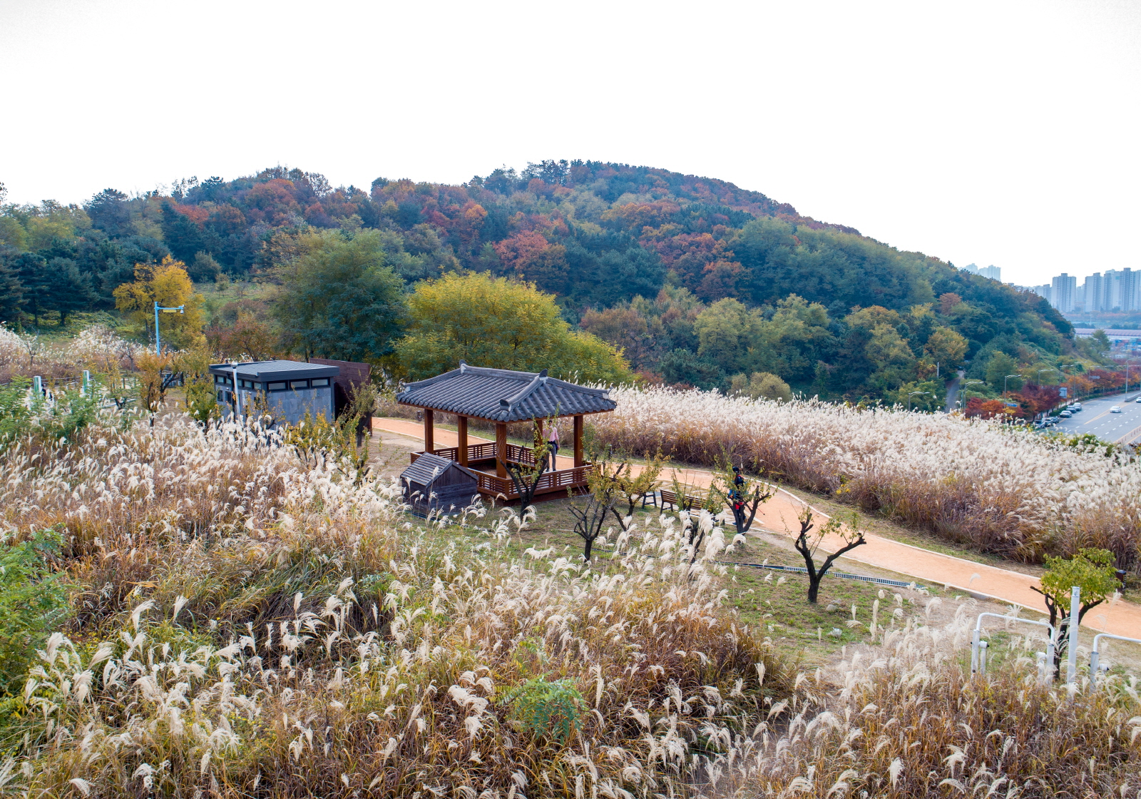 연수구 동춘1동, 주민주도 ‘봉재산 억새꽃 축제’ 연다.